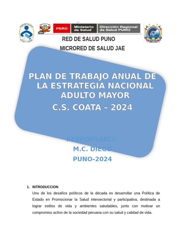 Plan Anual de Salud para Adultos Mayores 2024 | PDF | Vejez | Adultos