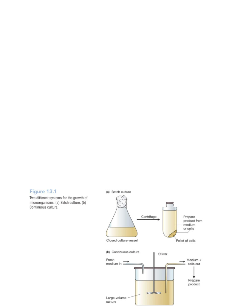 Protein Production from Cloned Genes | PDF | Proteins | Molecular Cloning
