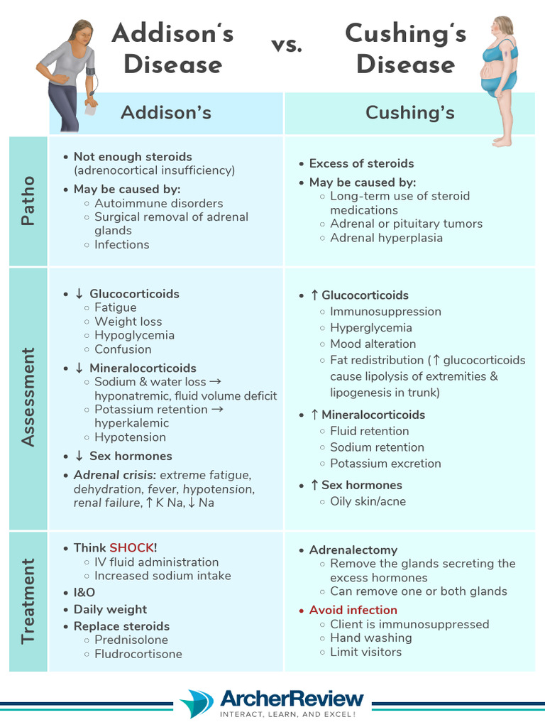 Adisson Cushing | PDF | Adrenal Gland | Glucocorticoid
