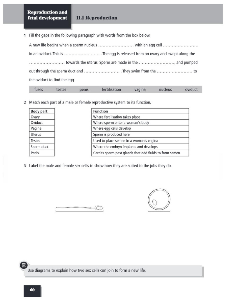 Q3 Chapter 6 Exercise | PDF