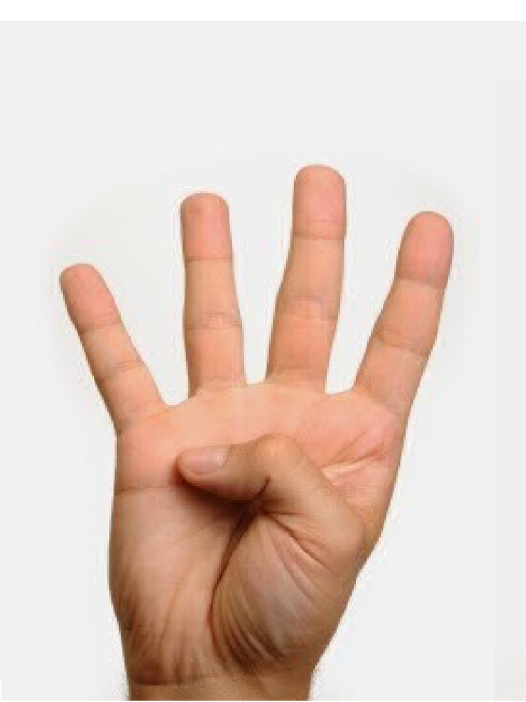 Hand Signal | PDF