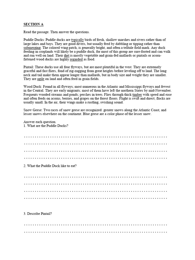 Puddle Ducks and Their Habitats Explained | PDF | Duck | Waterfowl