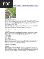 Download an Kentang Bebas Virus Secara Kultur Jaringan by Irni Soraya SN79079321 doc pdf