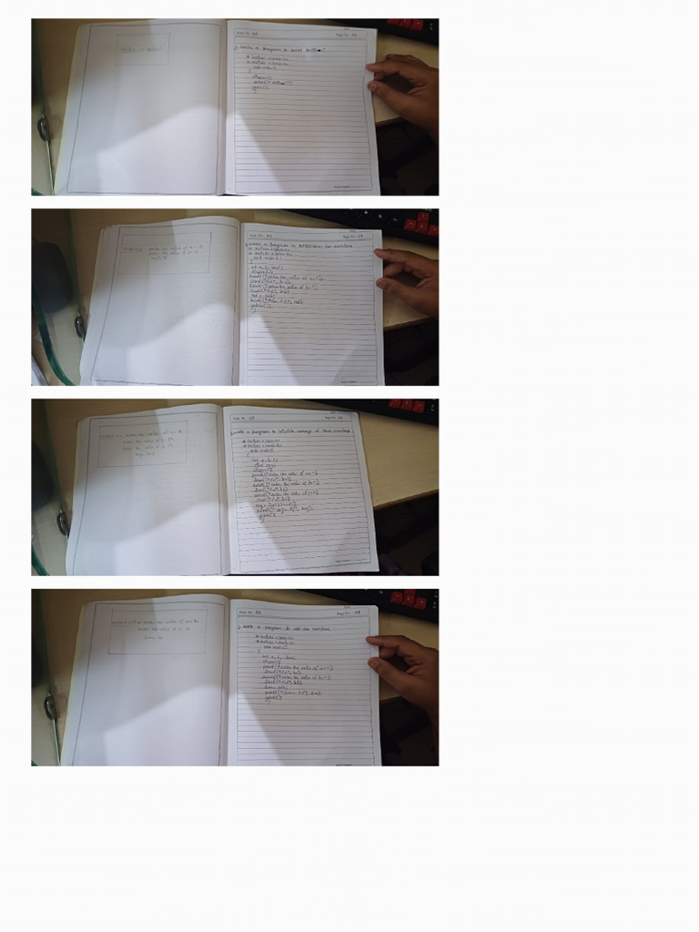C Programming Practical | PDF