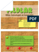 FILDLAR_Presentation1