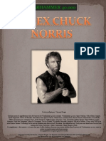 Codexchucknorris 111221181657 Phpapp01