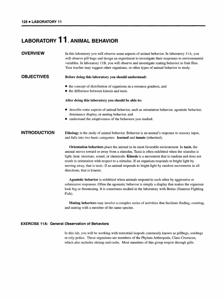 Lab 11 Animal Behavior PDF