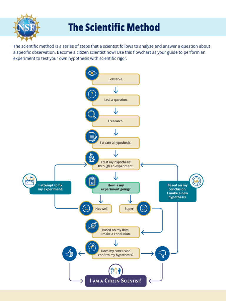 The Scientific Method Flowchart Guide | PDF