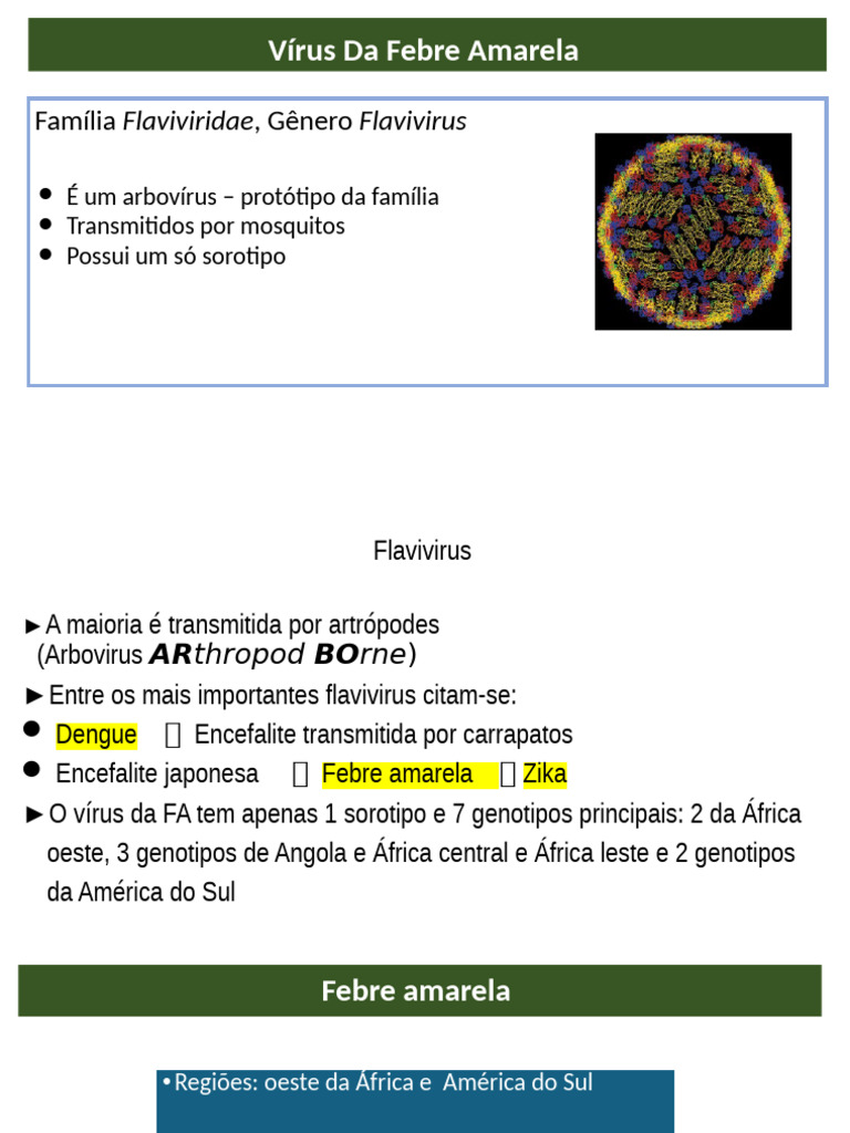 Sinal de Faget na Febre Amarela | PDF | Febre amarela | Imunologia