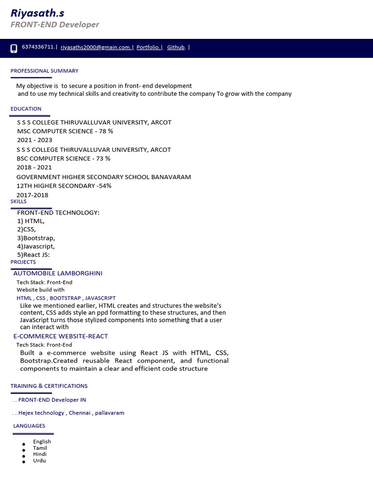 Front-End Developer Profile at Hejex | PDF | Business | Technology ...