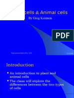 Plant Cells & Animal Cells