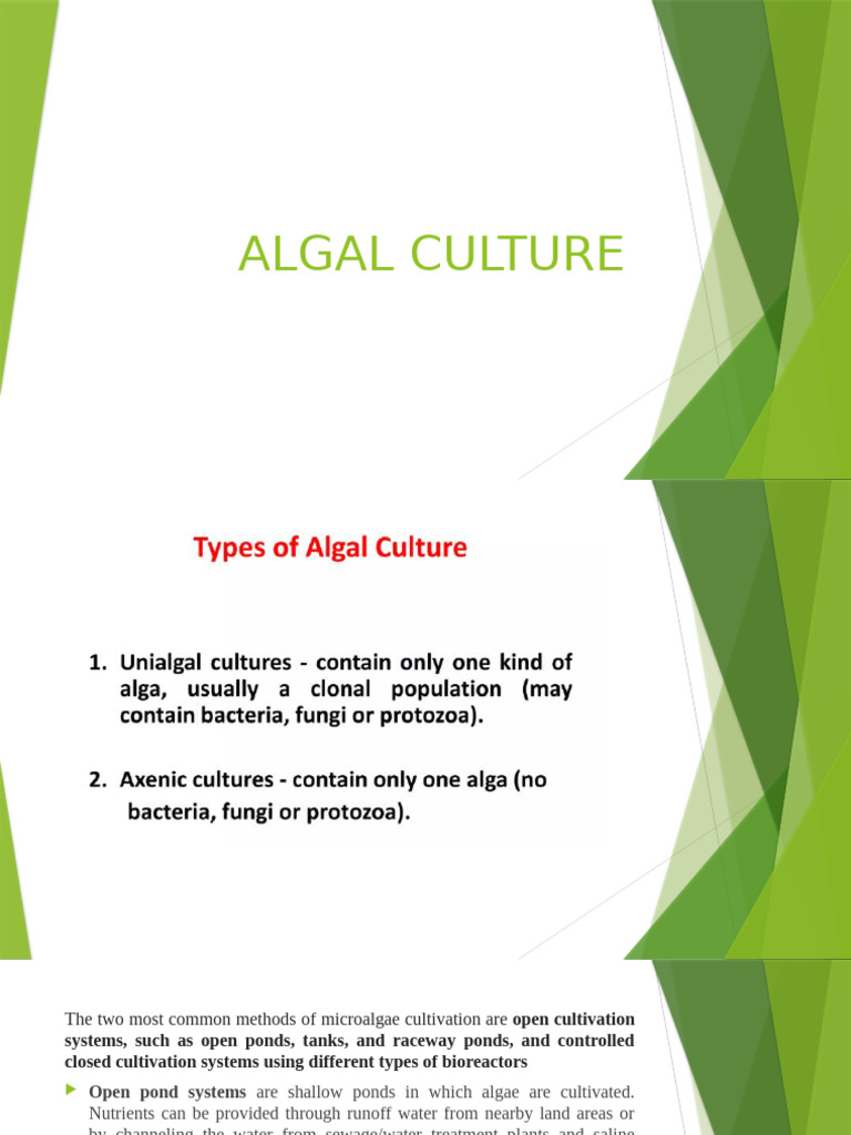 Algal Cultivation Techniques Overview Pdf Nature