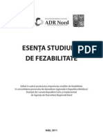 Esenta studiului de fezabilitate (broșură)