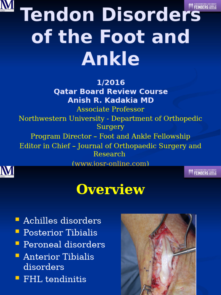Exostectomy for Achilles Disorders in Qatar | PDF | Foot | Limbs (Anatomy)