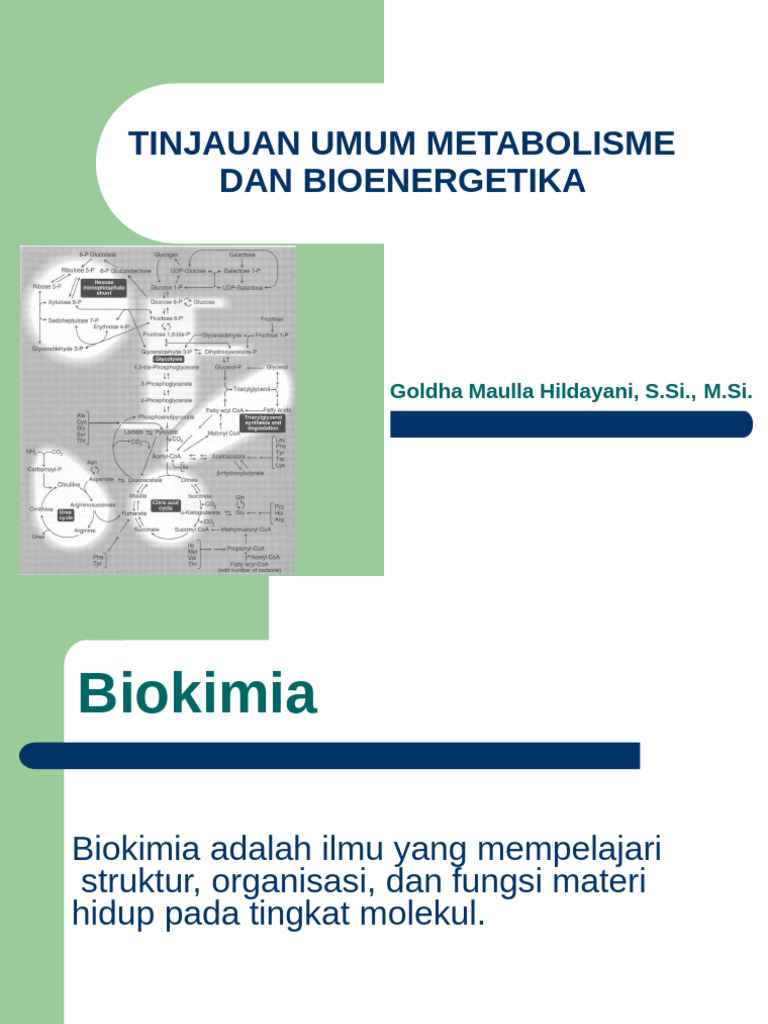 Tinjauan Umum Metabolisme | PDF