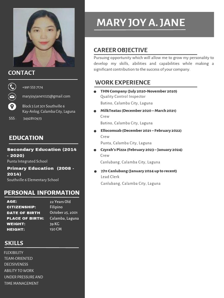 Work Experience and Education Summary | PDF