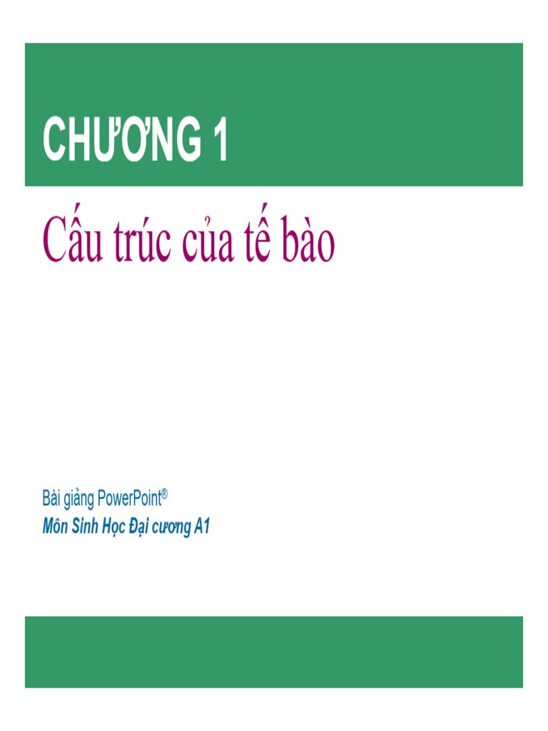 Cau Truc Cua Cau