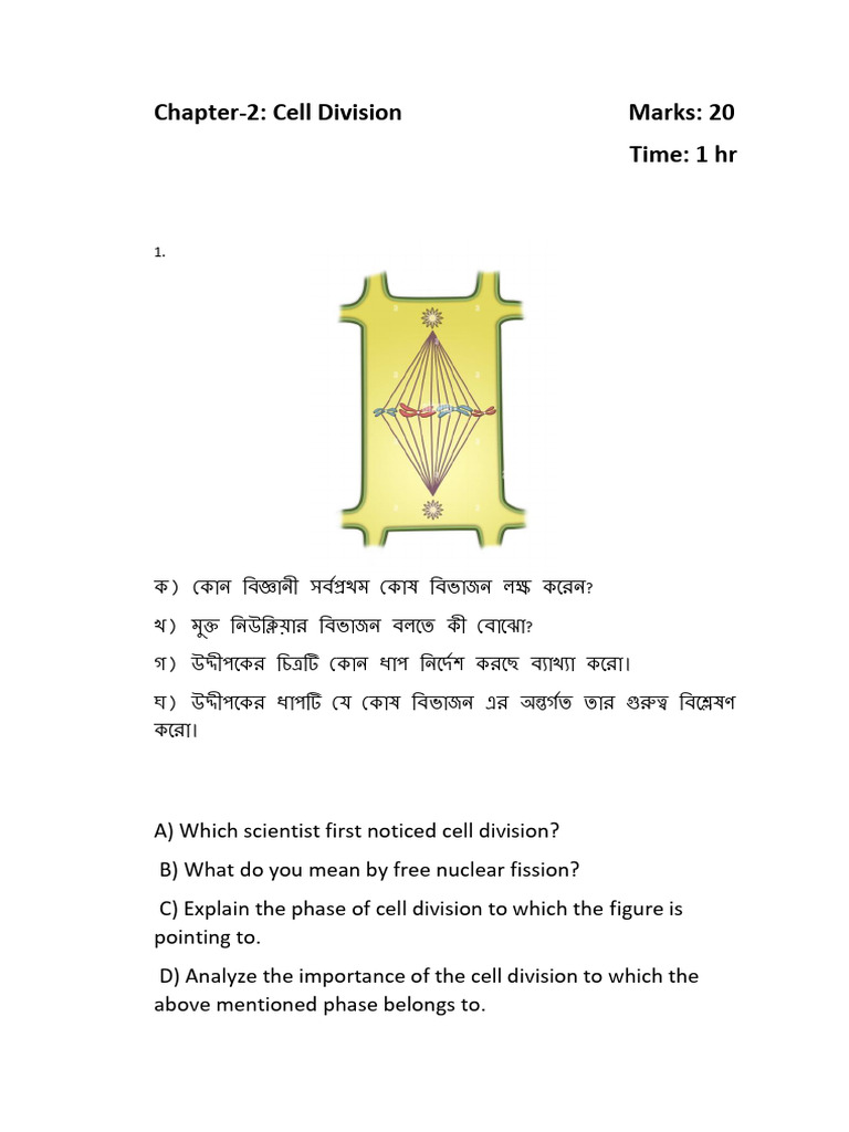 Cell Division | PDF