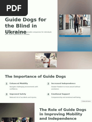 Guide-Dogs-for-the-Blind-in-Ukraine