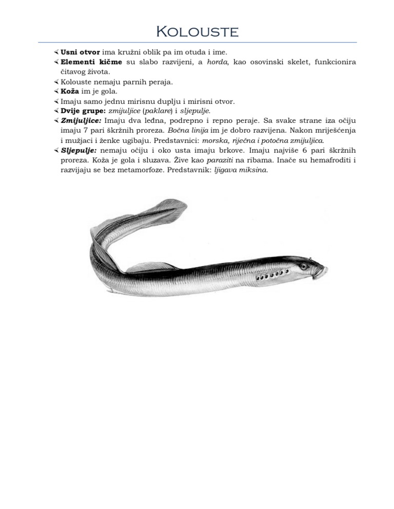 Kolouste | PDF