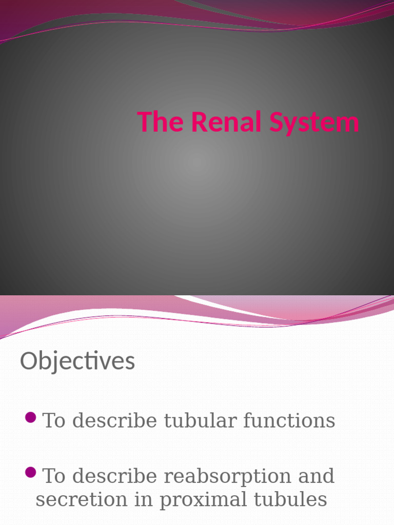 Tubular Functions in Renal System | PDF | Chloride | Sodium