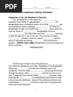 Cell Membrane Coloring Worksheet