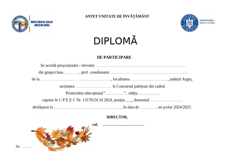 2024-2025 - Isj - Model Diploma de Participare | PDF
