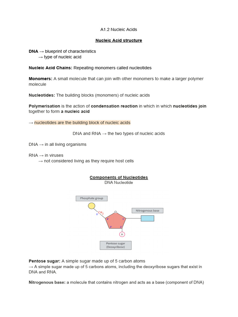 A 1.2 | PDF | Nucleic Acids | Dna