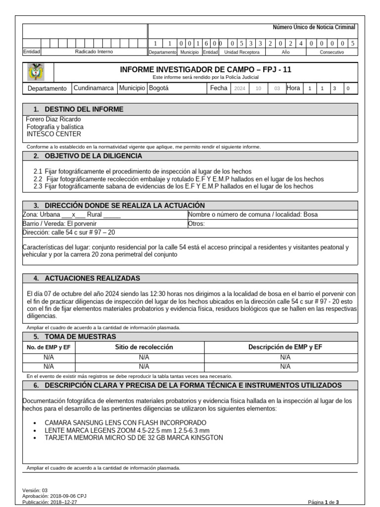 Informe FPJ-11: Inspección Criminal | PDF