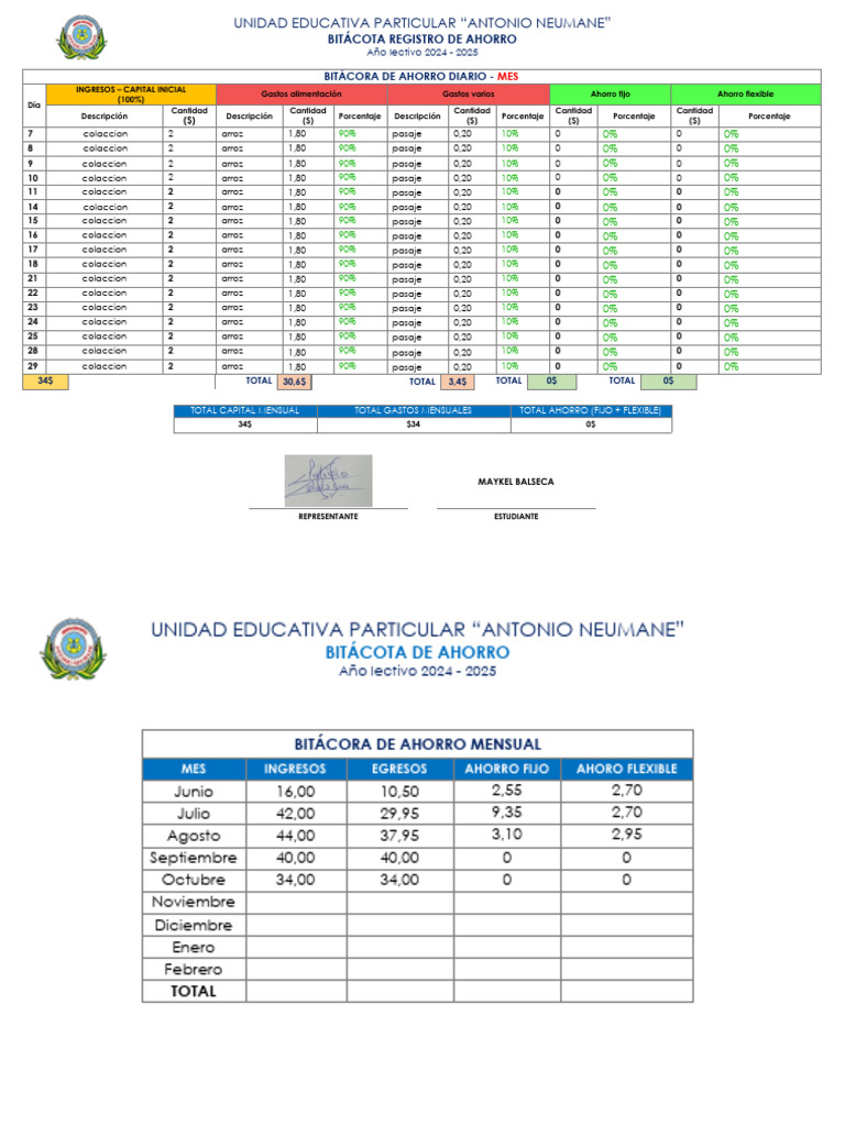 Bitácora de Ahorro 2024-2025 Neumane | PDF