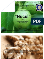 Nucul