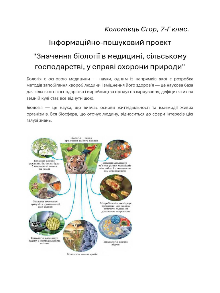 FSDFSD | PDF