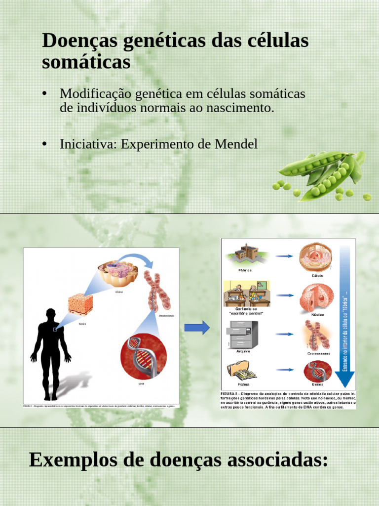 Doenças Genéticas Das Células Somáticas | PDF | Autoajuda