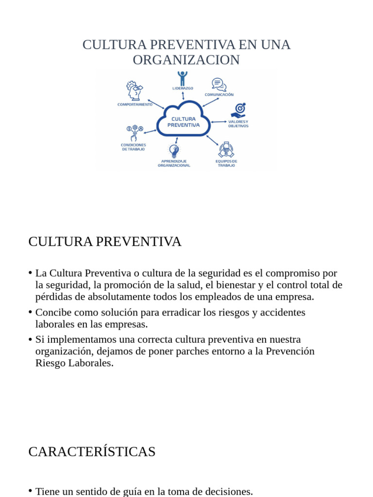 Cultura Preventiva en Una Organizacion | PDF | Valores | Business