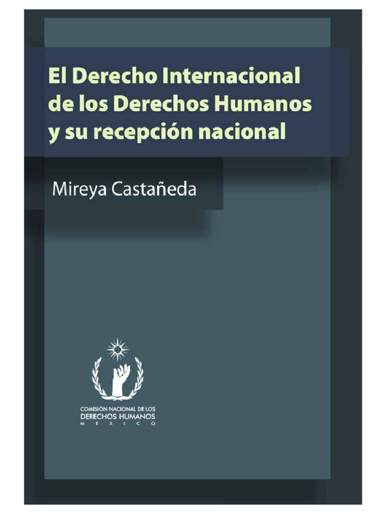 Derecho Internacional y Derechos Humanos | PDF