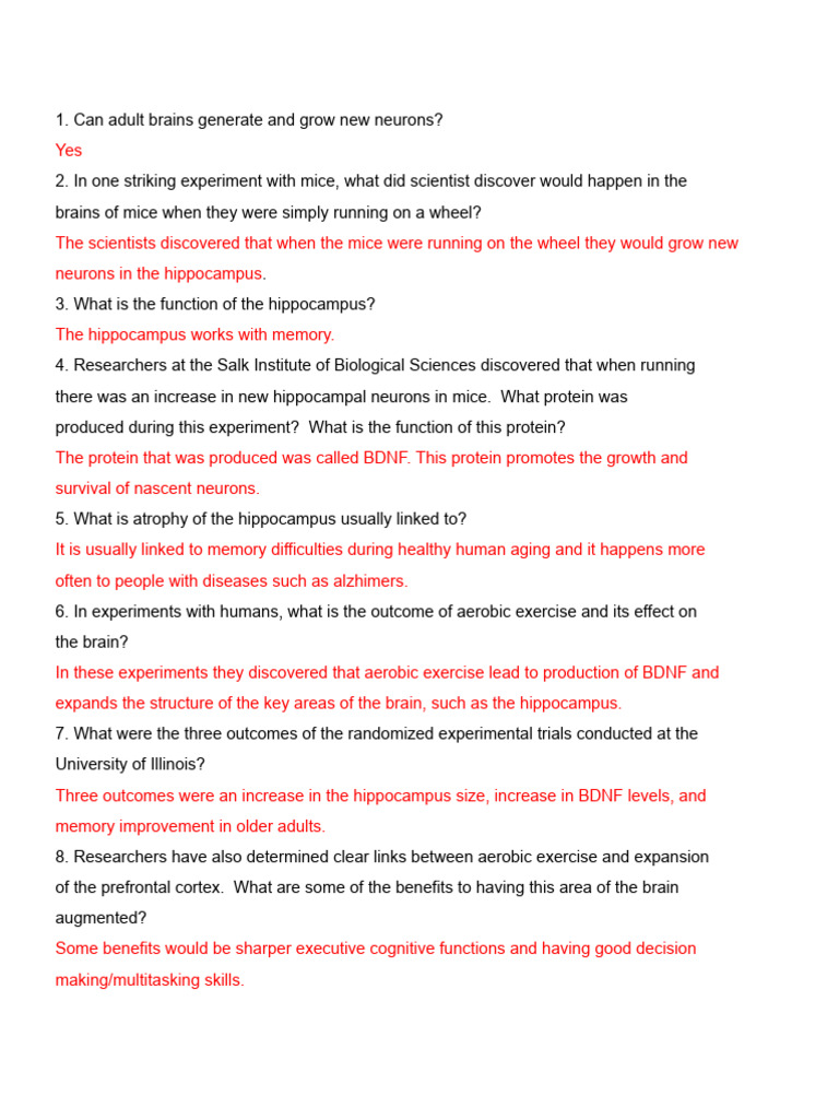 Untitled Document | PDF | Hippocampus | Dieting