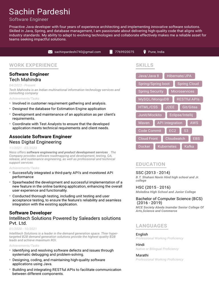 Java Developer's Career Profile | PDF | Computers