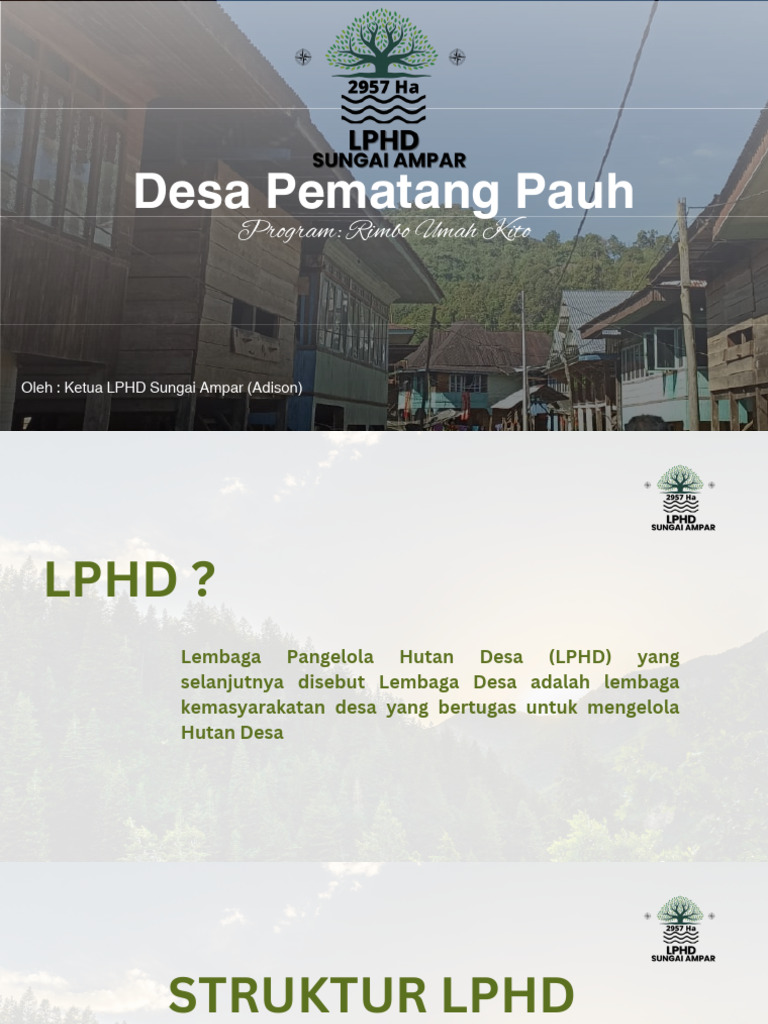 Struktur dan Kegiatan LPHD Sungai Ampar | PDF | Teknologi & Rekayasa
