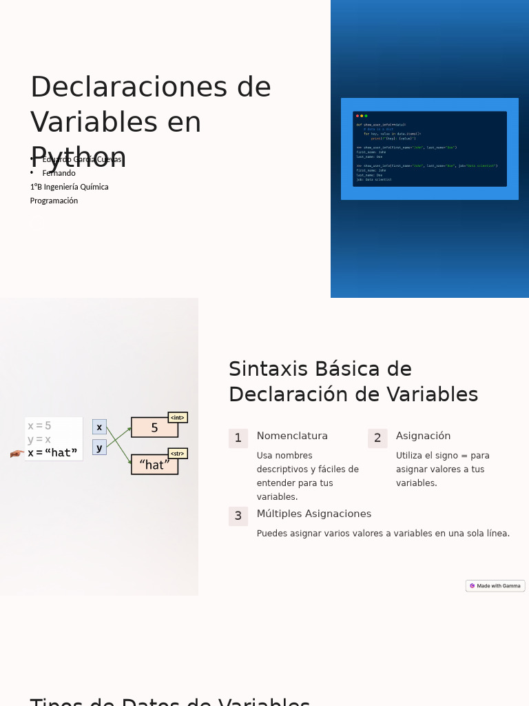 Declaración de Variables en Python | PDF