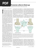 Buk136902025416214132025416211753 250618 | PDF | Tissue