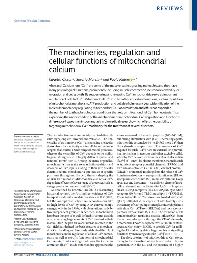 The Machineries, Regulation and Cellular Functions of Mitochondrial ...