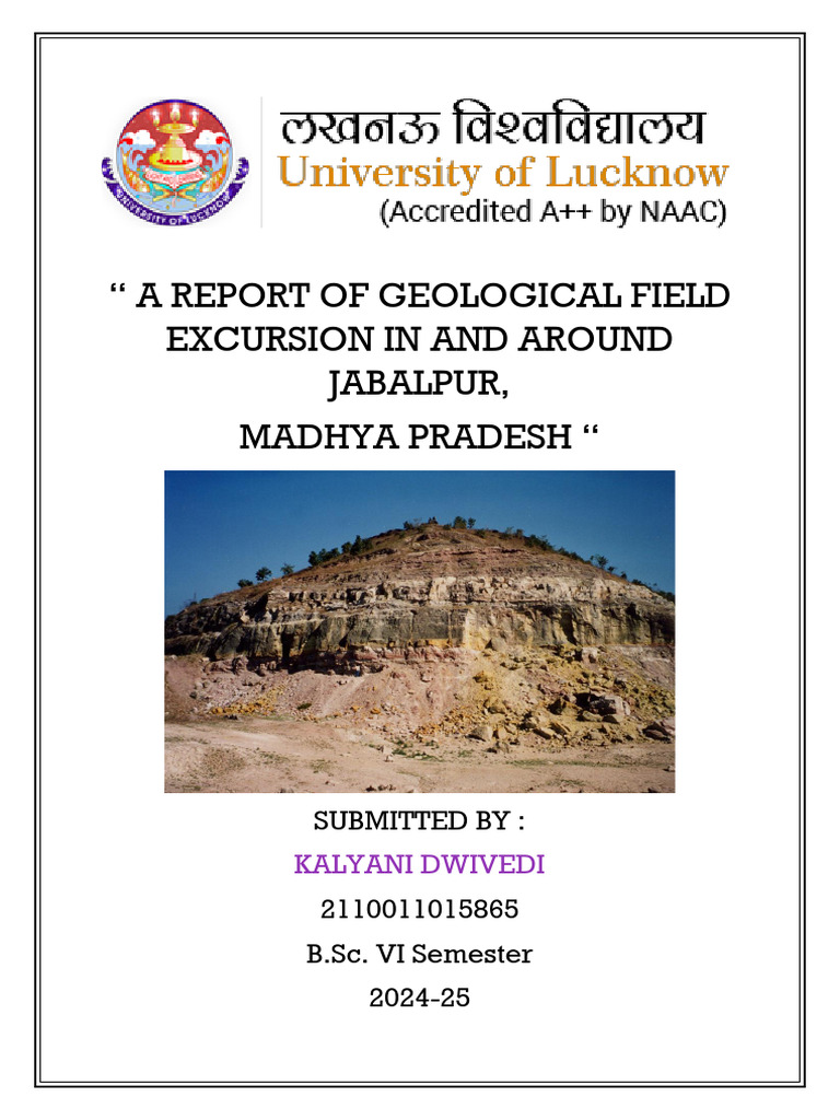 Geological Field Study in Jabalpur | PDF | Sedimentary Rock | Rock ...