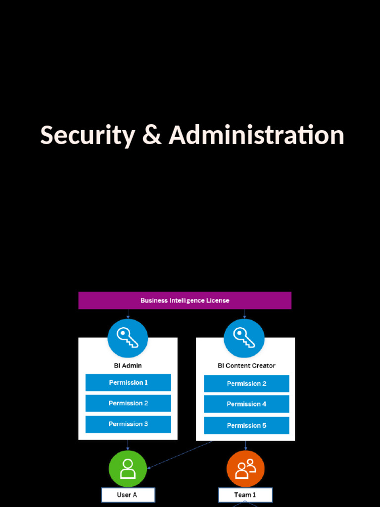 SAP Analytics Cloud Security & Roles | PDF | Business | Computers