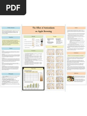 Science Fair Board
