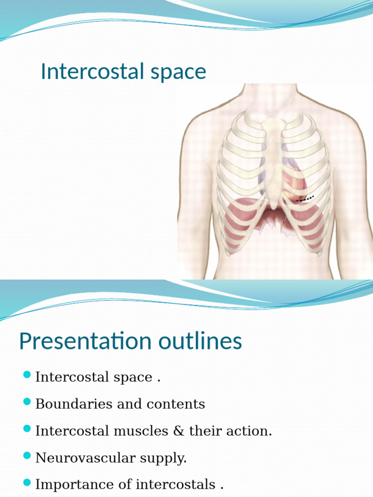 Examination of the Recommended Safe and Unsafe Zone for Placement of  Surgical Instruments in Thoracentesis and Video-Assisted Th, image size:768x1024