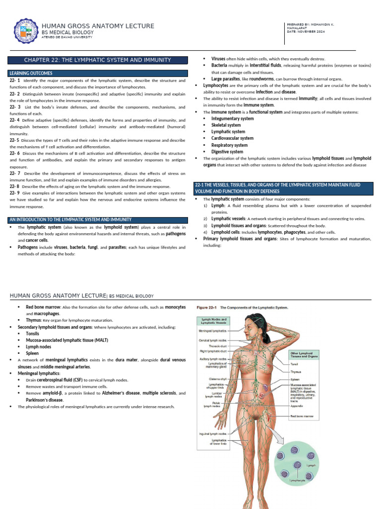 Anatomy of the Lymphatic System | PDF | Lymphatic System | Lymph Node