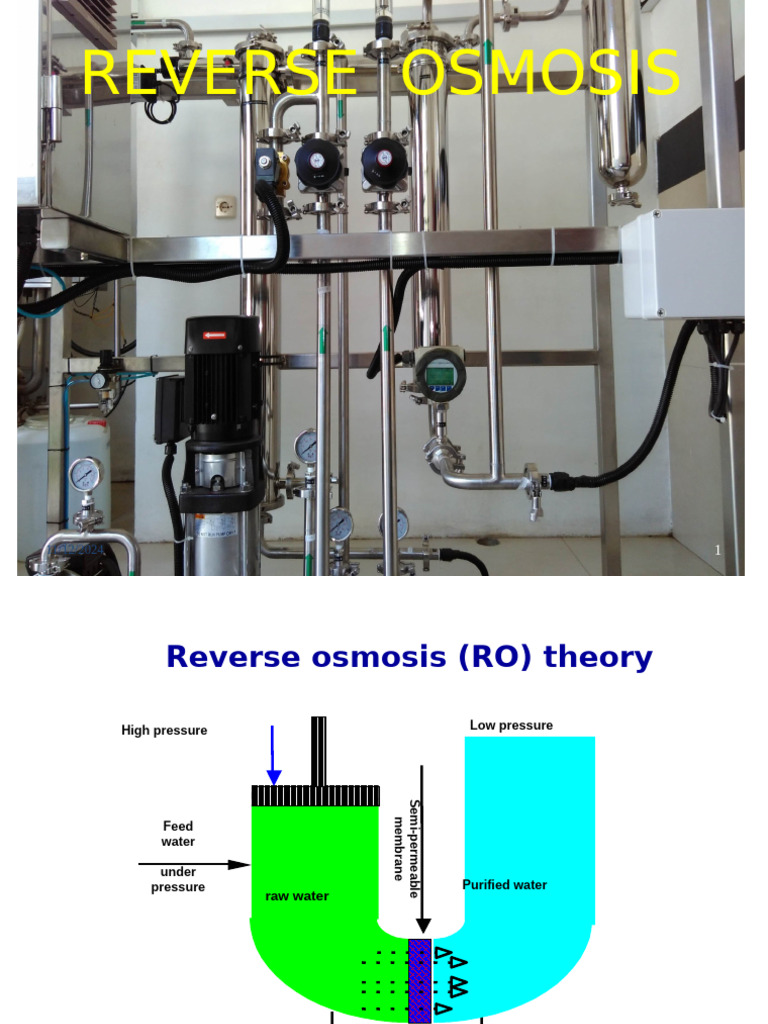 Teori dan Proses Reverse Osmosis | PDF
