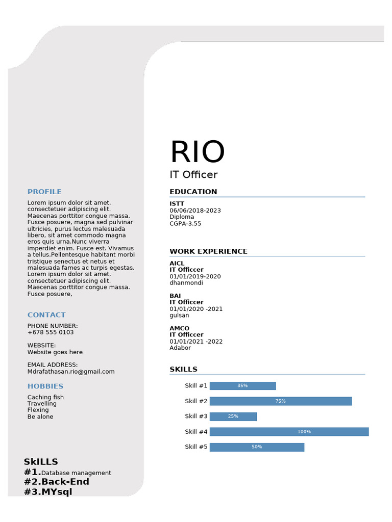 IT Officer CV - RIO | PDF