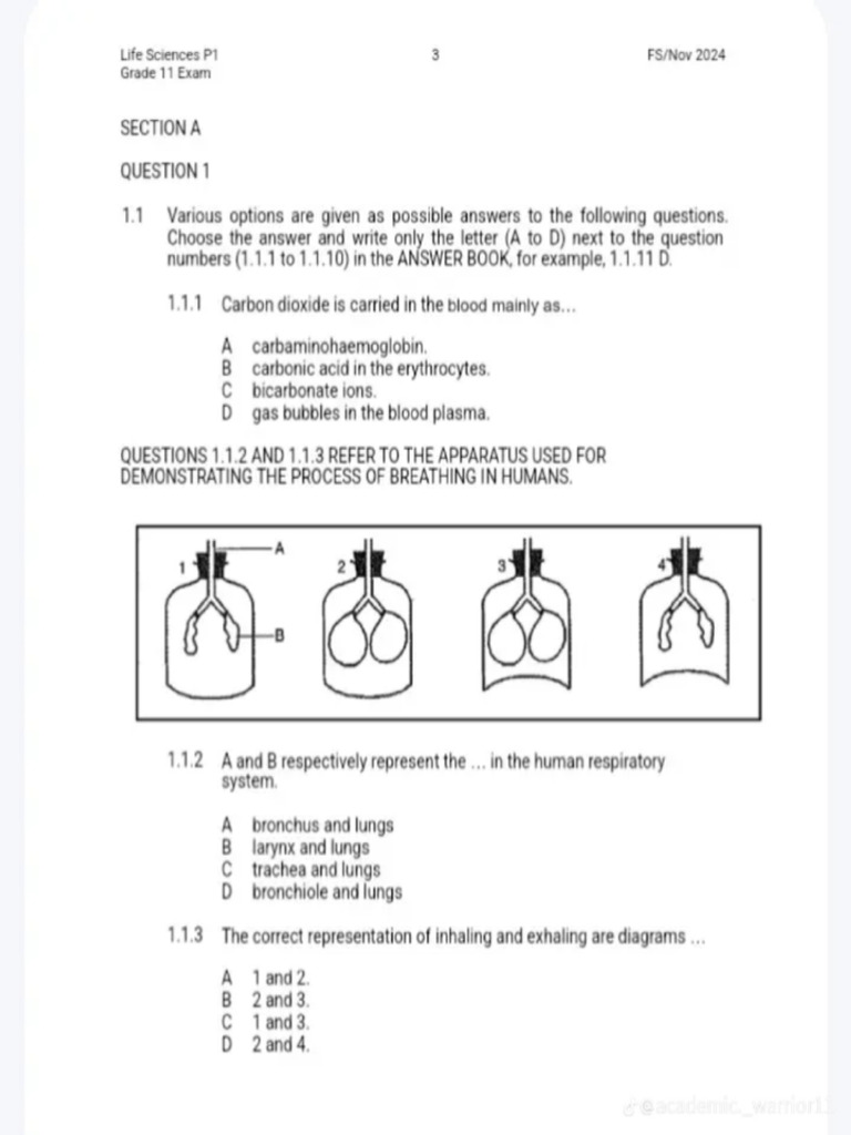 PDF Img2pdf 12nov24 1224 | PDF