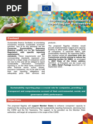 FlagshipTSI2025_Improving Sustainability Reporting for Businesses